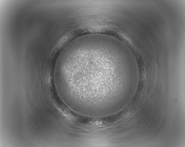 X0000066100687200603171357