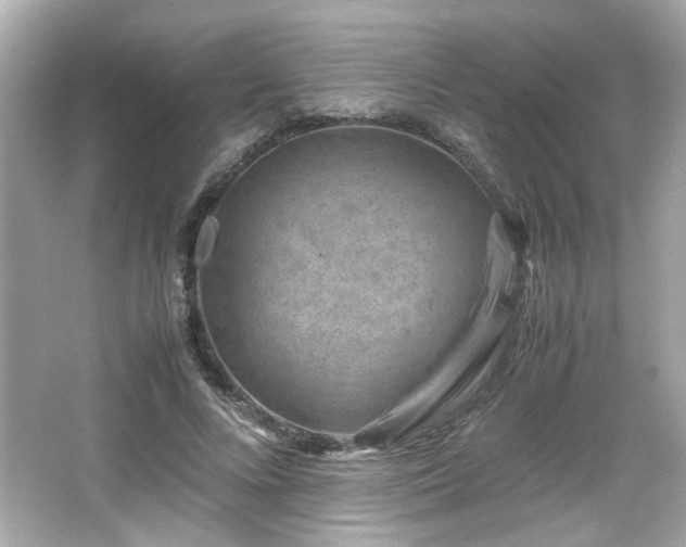 X0000066100688200603171357