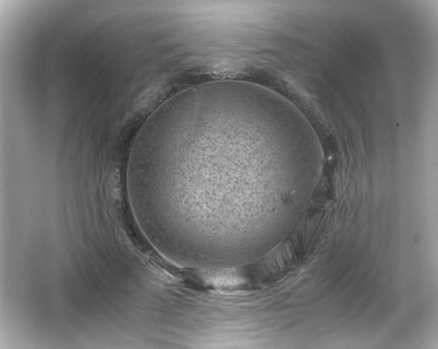 X0000066100689200603171357