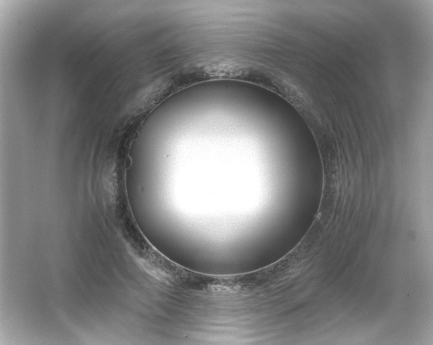 X0000066100690200603171357