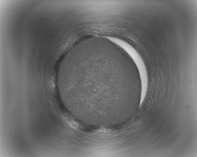 X0000066100691200603171357