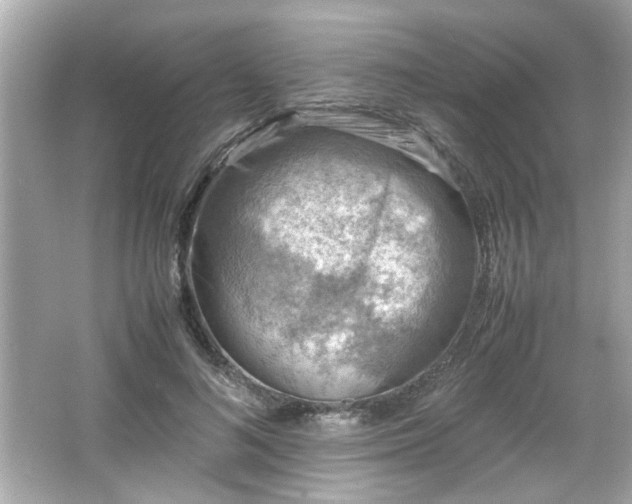 X0000066100692200603171357