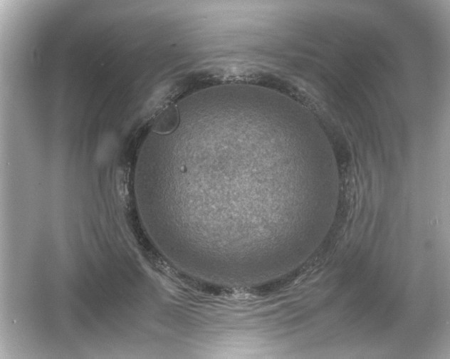 X0000066100695200603171357