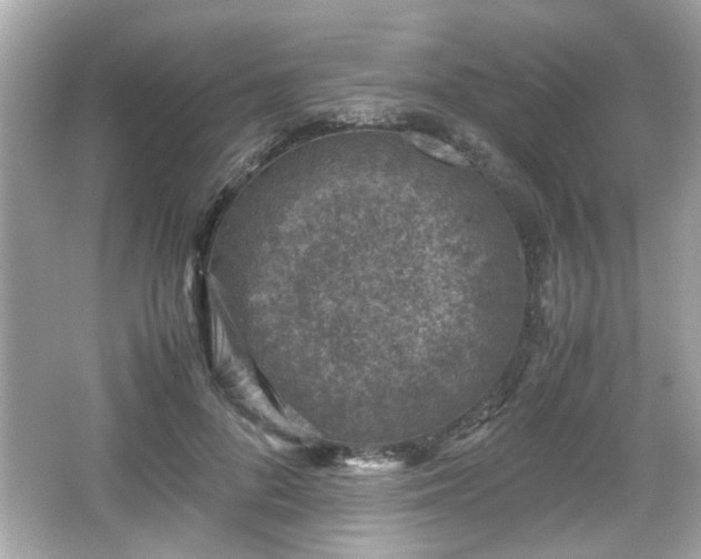 X0000066100696200603171357