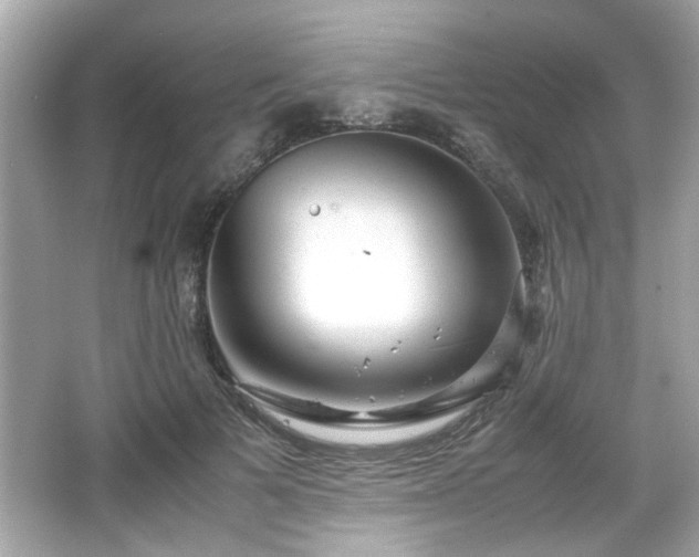 X0000066100697200603171357