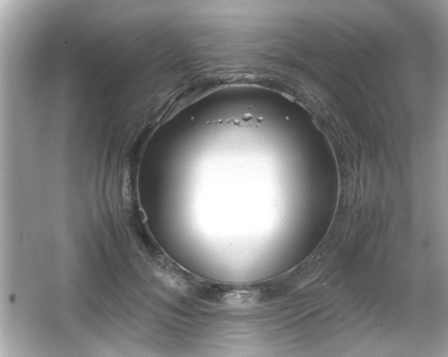 X0000066100700200603171357