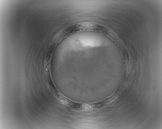 X0000066100701200603171357