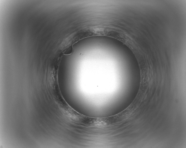 X0000066100702200603171357