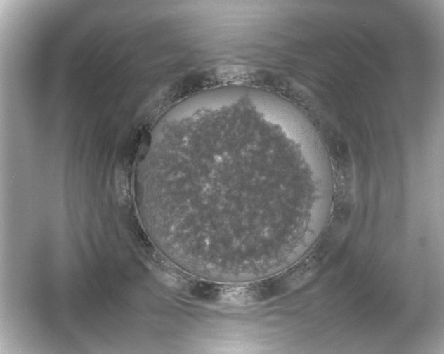 X0000066100705200603171357