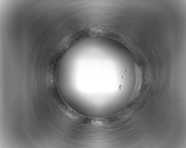 X0000066100706200603171357