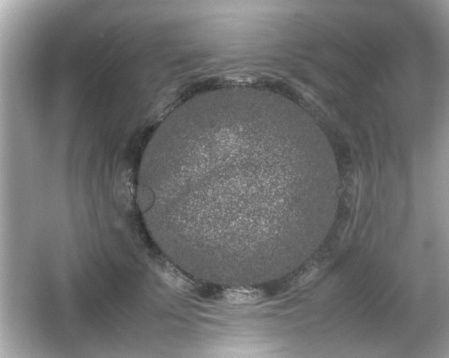 X0000066100707200603171357