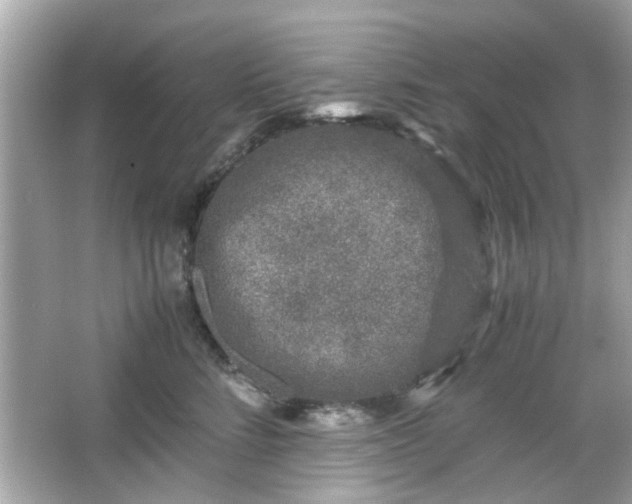 X0000066100712200603171357