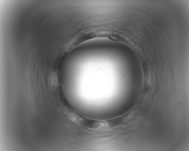 X0000066100715200603171357