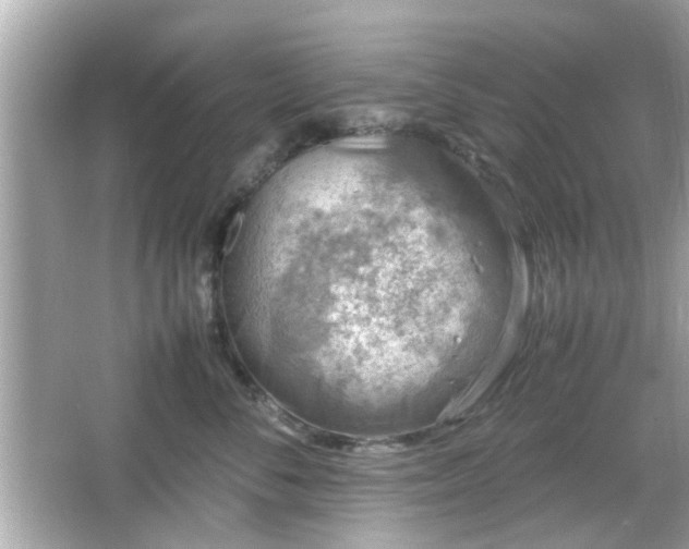 X0000066100716200603171357