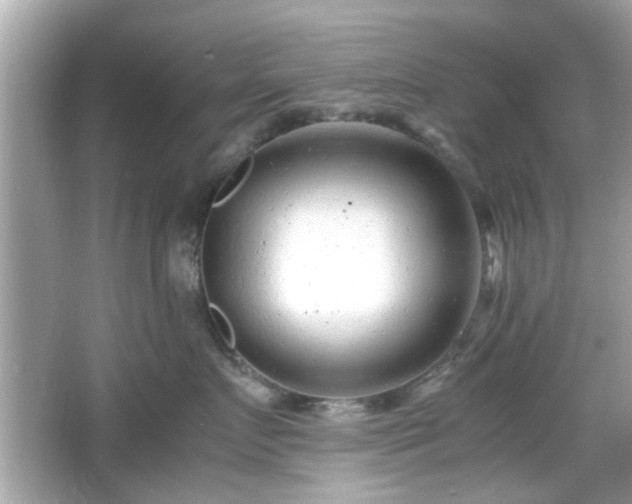 X0000066100719200603171357