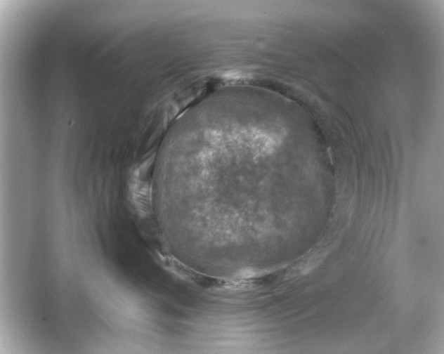 X0000066100720200603171357