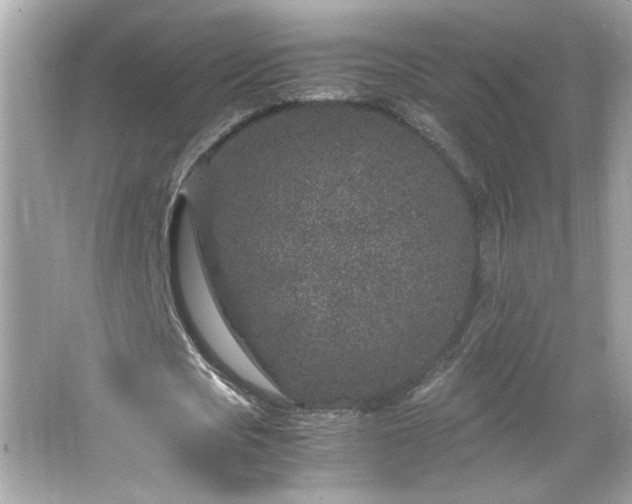 X0000066100721200603171356