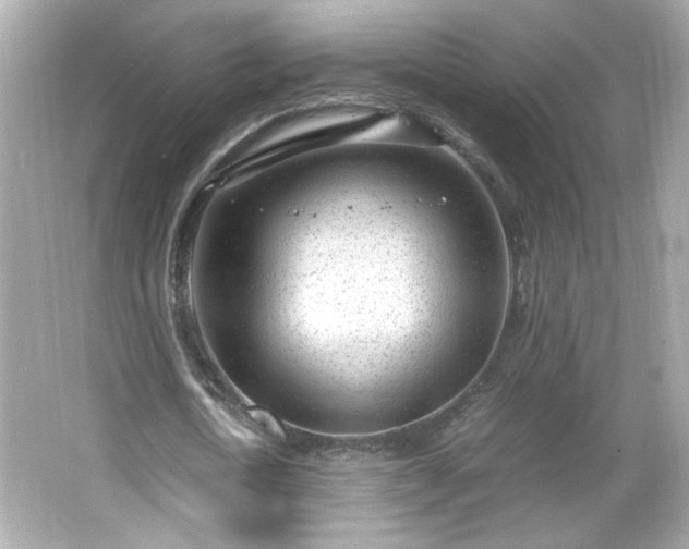 X0000066100722200603171356