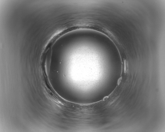 X0000066100723200603171356