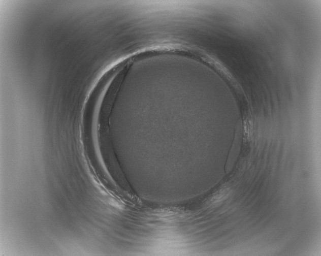 X0000066100724200603171356