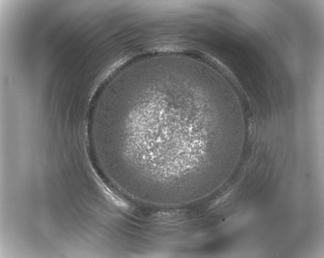 X0000066100725200603171356