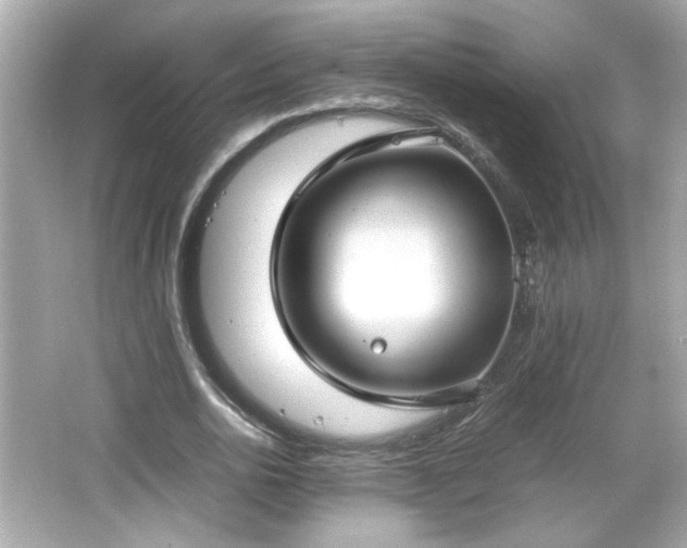 X0000066100726200603171356