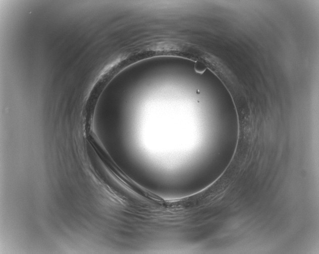 X0000066100727200603171356