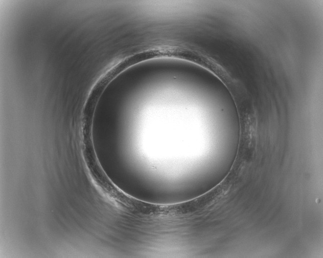 X0000066100730200603171356