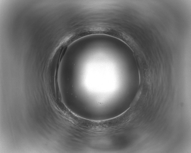 X0000066100731200603171356