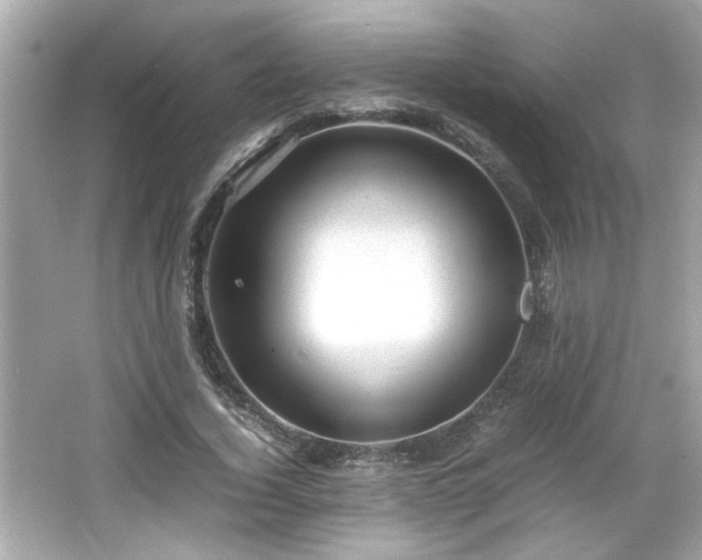 X0000066100732200603171356