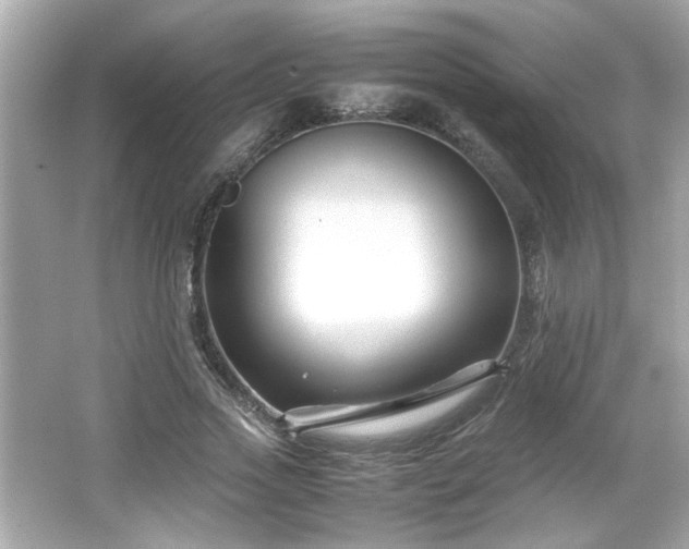 X0000066100733200603171356