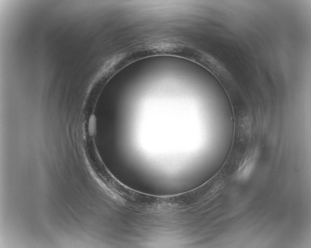 X0000066100734200603171356