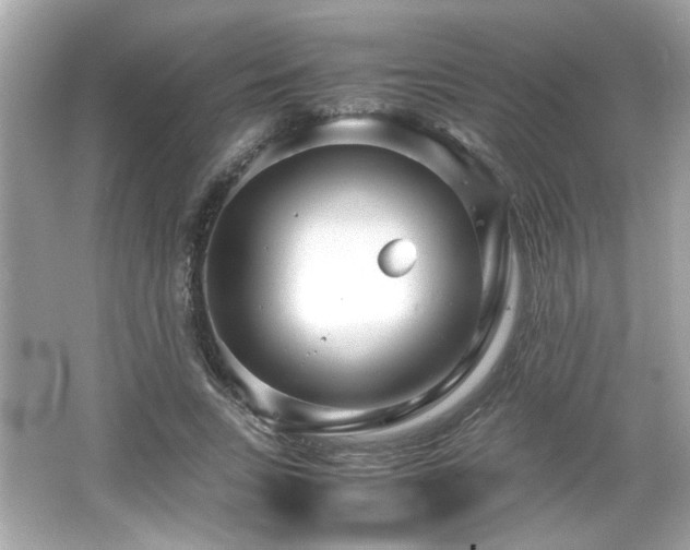 X0000066100735200603171356