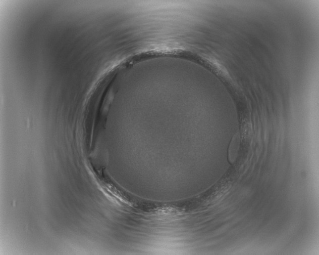 X0000066100736200603171356