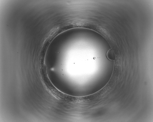 X0000066100738200603171356