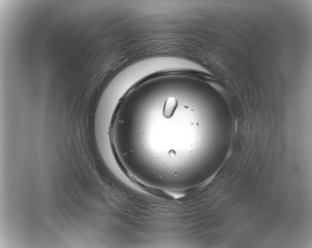 X0000066100743200603171356