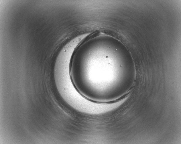 X0000066100744200603171356