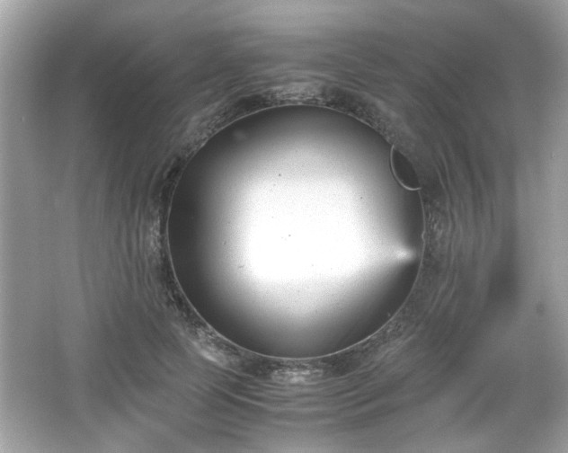 X0000066100745200603171356