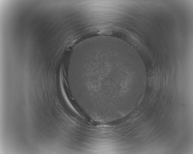 X0000066100748200603171356