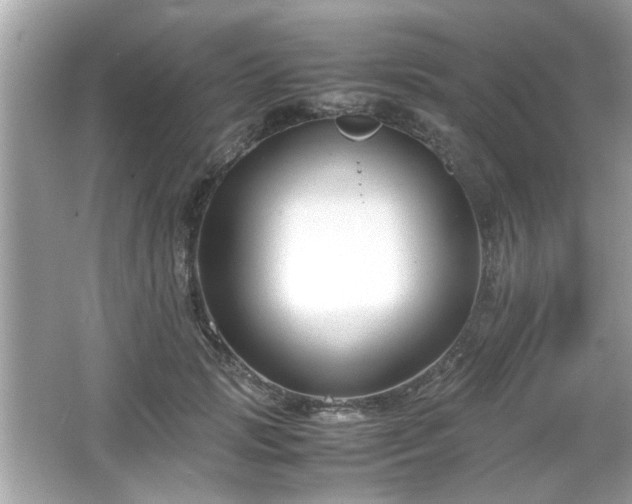 X0000066100749200603171356