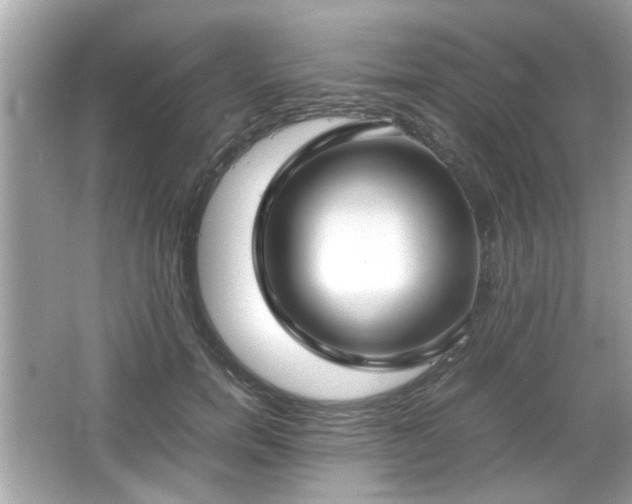 X0000066100750200603171356