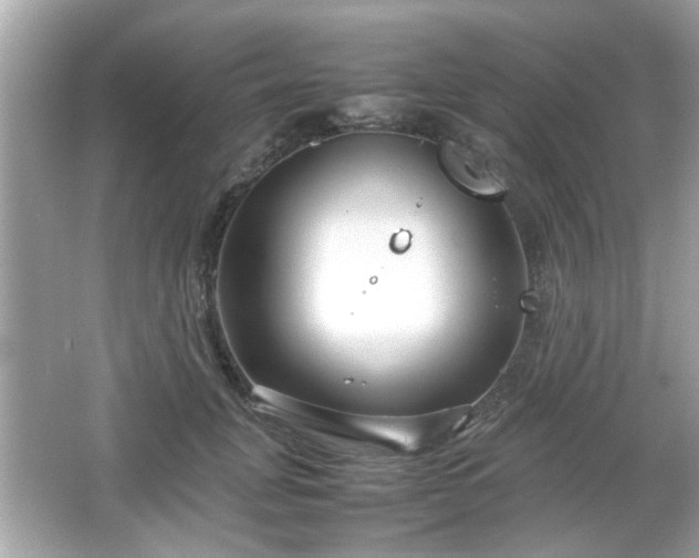 X0000066100751200603171356