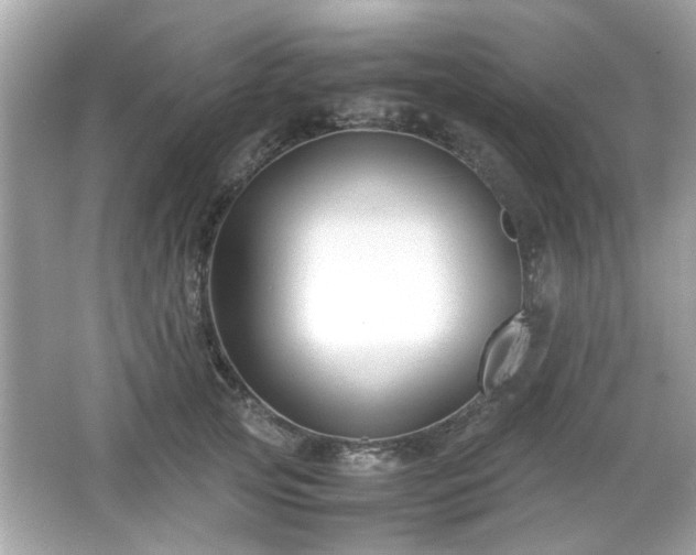 X0000066100753200603171356