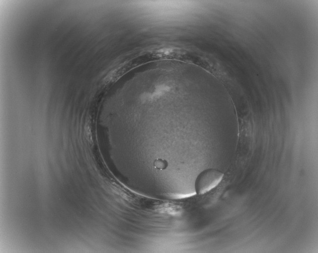 X0000066100754200603171356