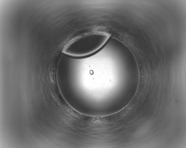 X0000066100755200603171356