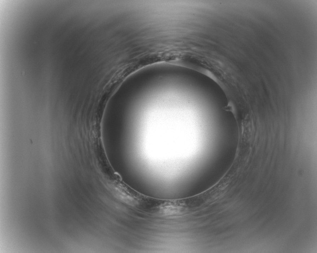 X0000066100756200603171356