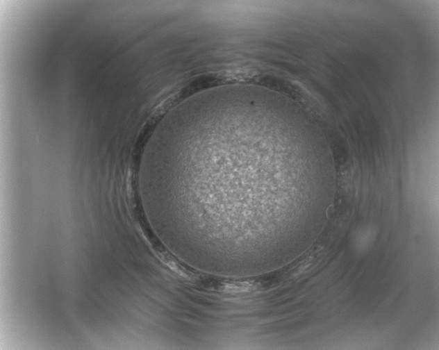 X0000066100757200603171356