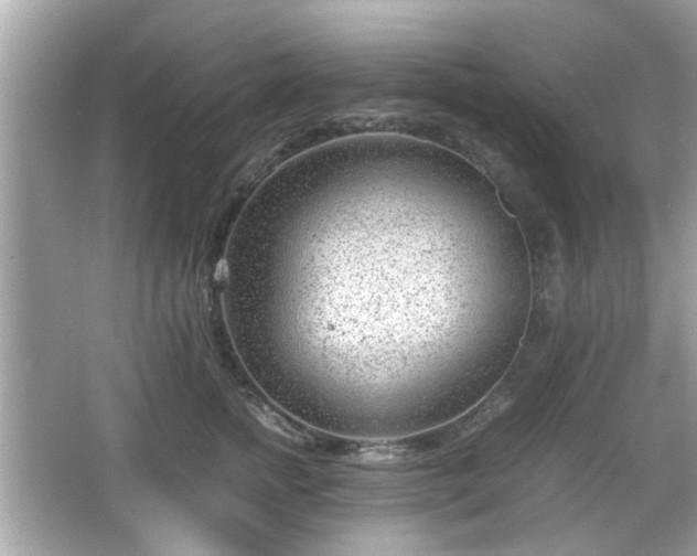 X0000066100758200603171356