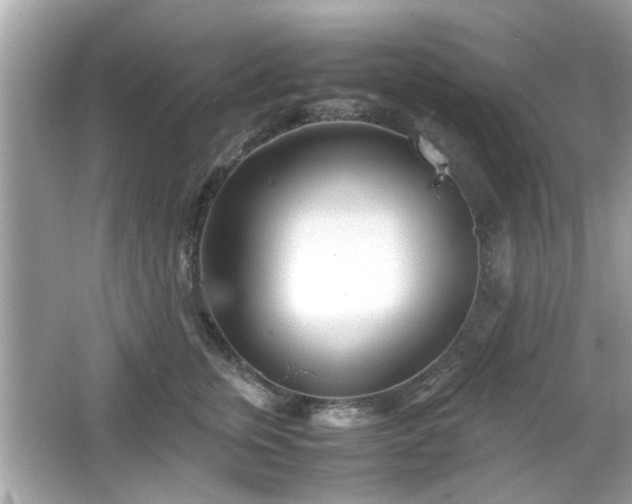 X0000066100759200603171356