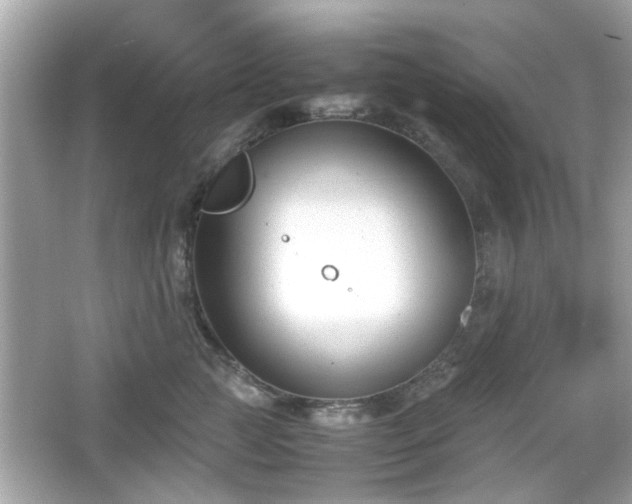 X0000066100761200603171356